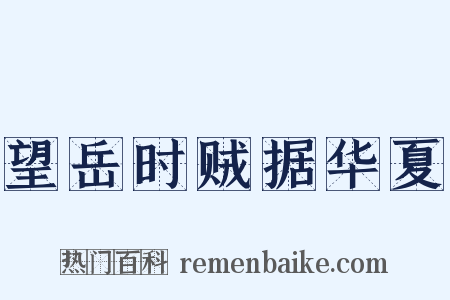 望岳时贼据华夏是什么意思的图片